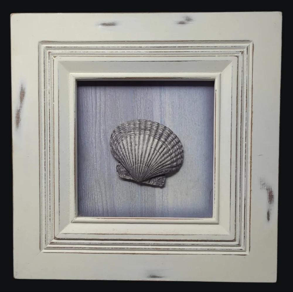 2006 SET OF 2 FRAMED ART - SEA SHELLS